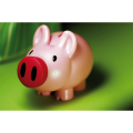 R73882 - Skarbonka Piggy, różowy 